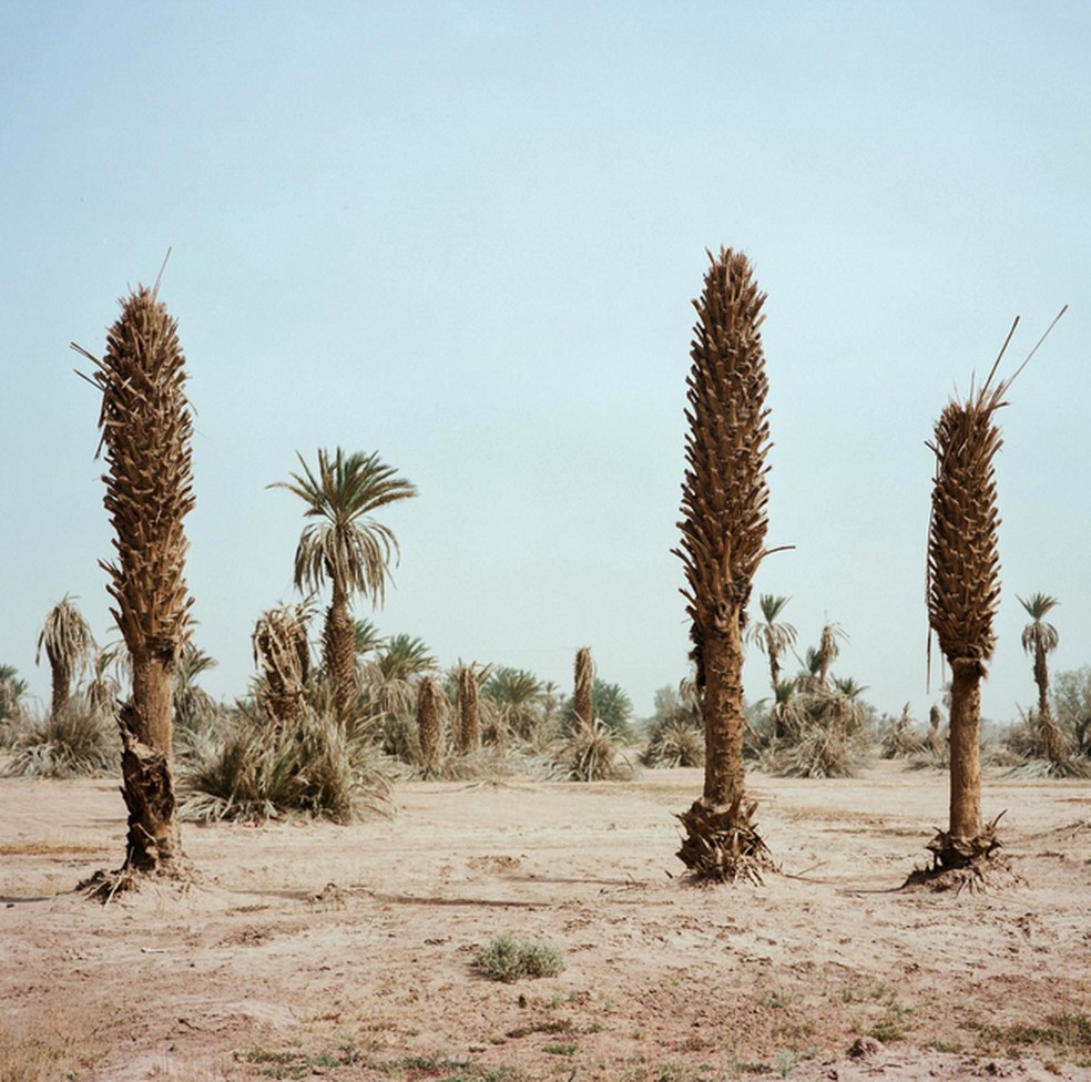 Before It’s Gone – M’hammed Kilito — Foto: M’hammed Kilito