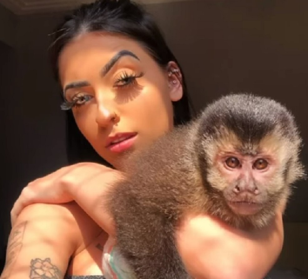 Mc Mirella e o macaco Gucci — Foto: Instagram