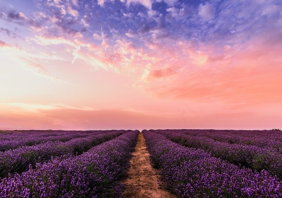 Como cuidar da saúde na Primavera? (Foto: Pexels) — Foto: Glamour
