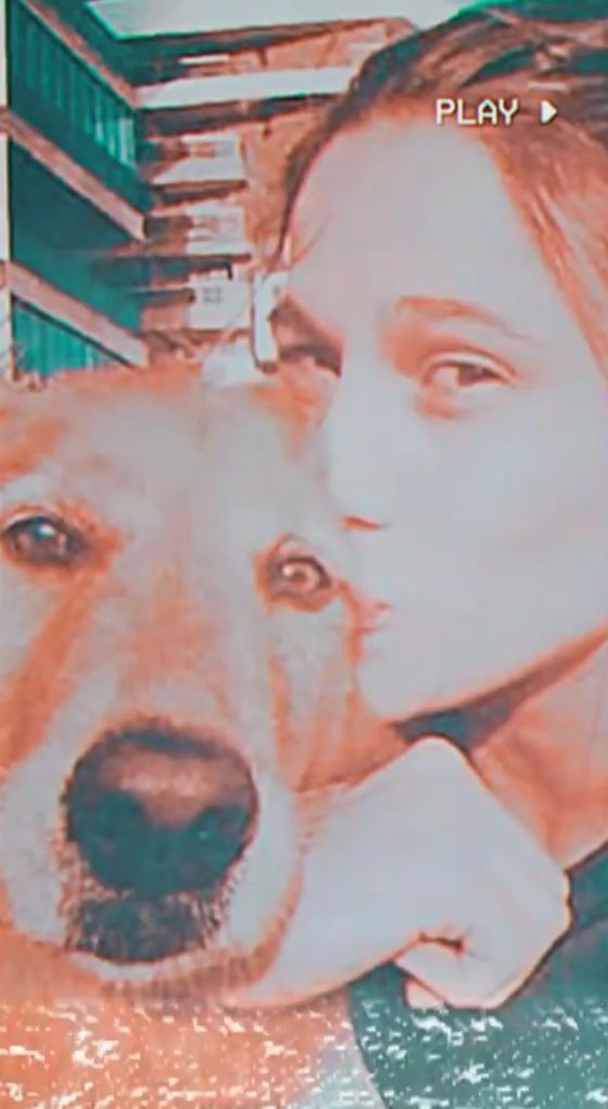 Fernanda Gentil com a sua cachorra — Foto: Reprodução/Instagram