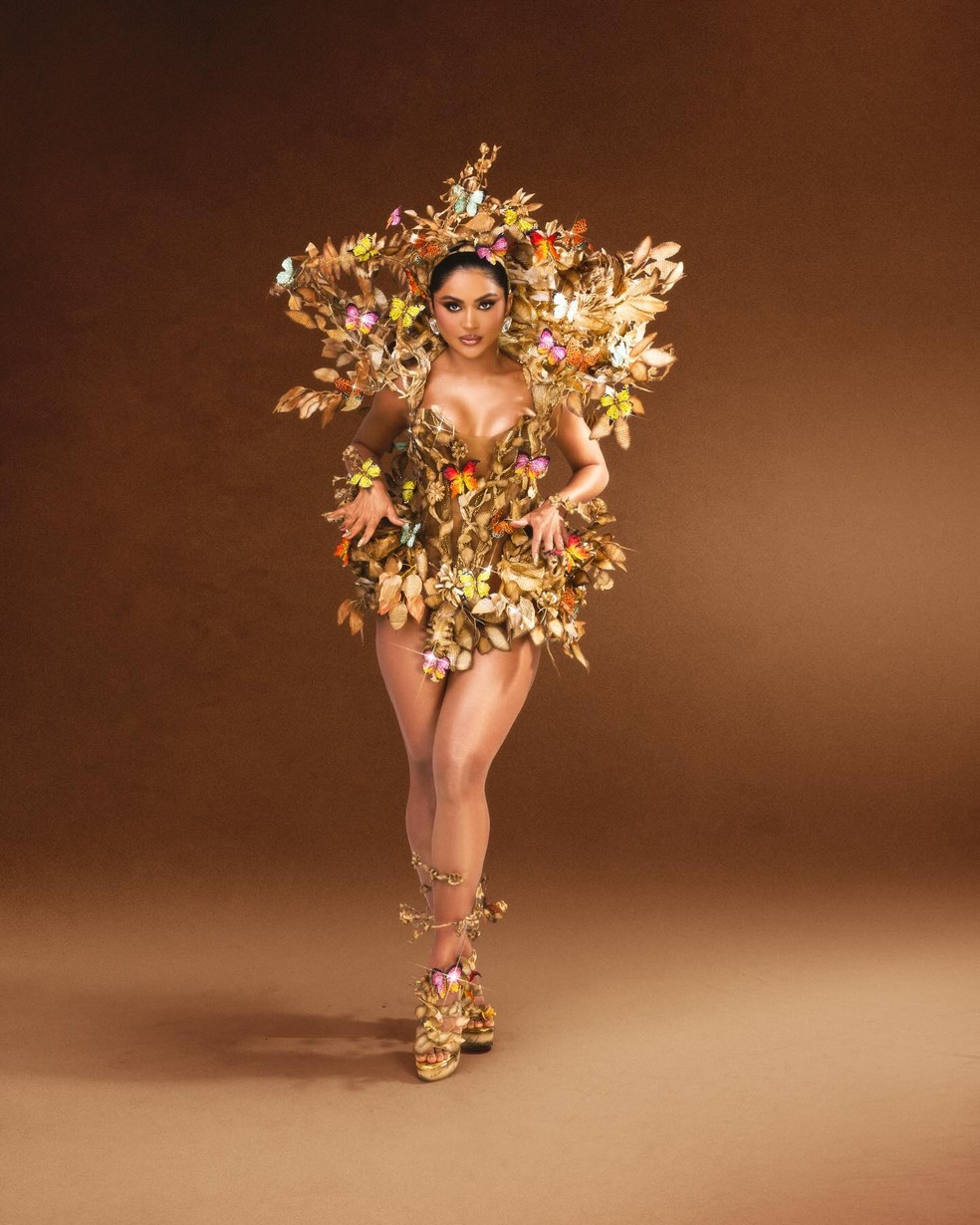 A fantasia de Mileide Mihaile, rainha da bateria  da Unidos da Tijuca, com 200 páginas de livros — Foto: Divulgação