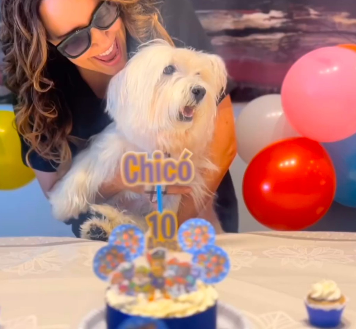 Ana Carolina Faz Festa Para Celebrar 10 Anos De Cachorrinho E Encanta Web