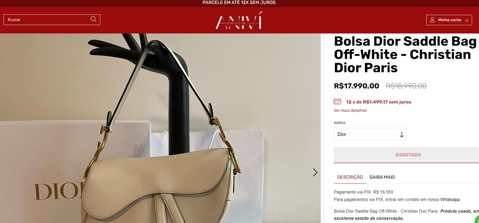 Bolsa Dior  Saddle Bag — Foto: Reprodução/Anivi