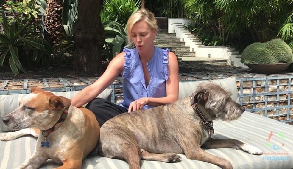 Charlize Theron com seus cãezinhos (Foto: Instagram/Reprodução) — Foto: Glamour