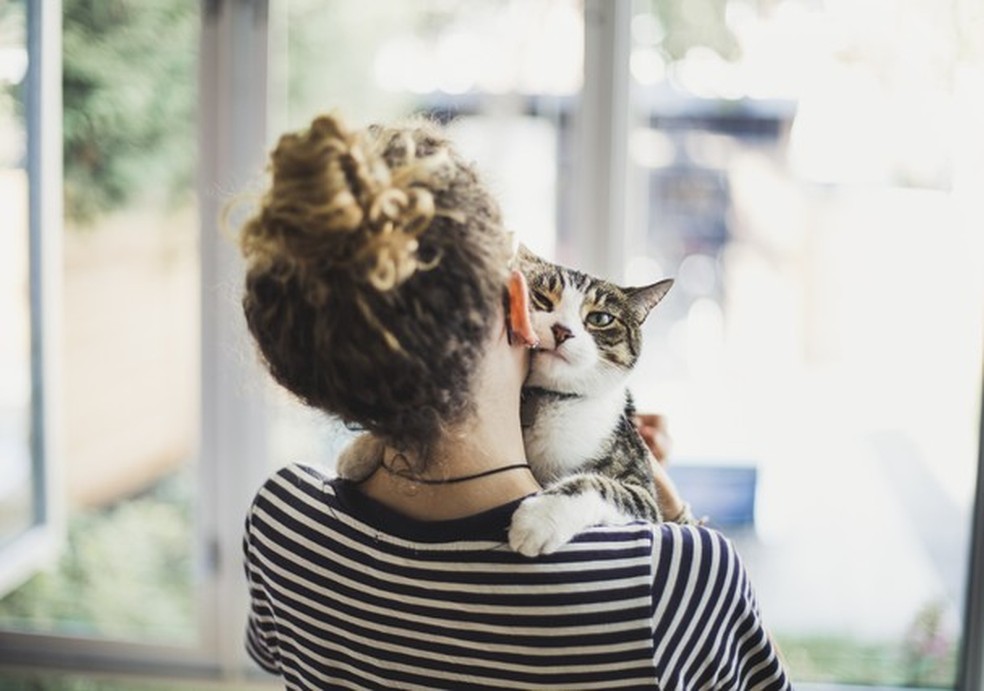 Pesquisa diz que há cinco tipos de donos de gatos. Descubra o seu! (Foto: Getty Images) — Foto: Glamour