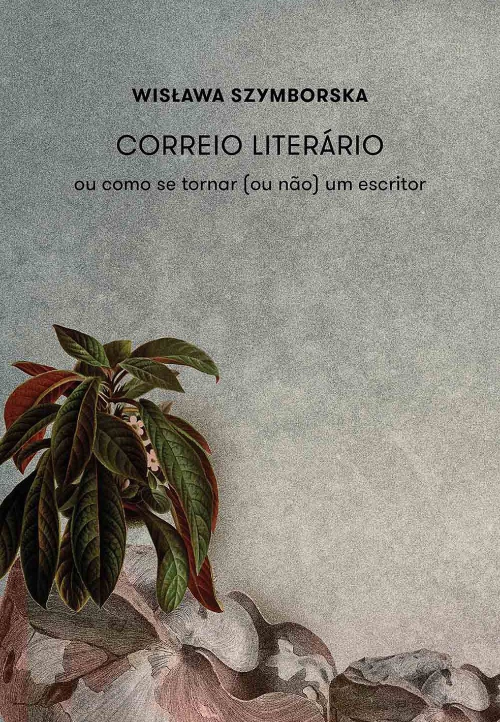 Autoras aclamadas falam sobre os processos da escrita em livros indispensáveis — Foto: Divulgação