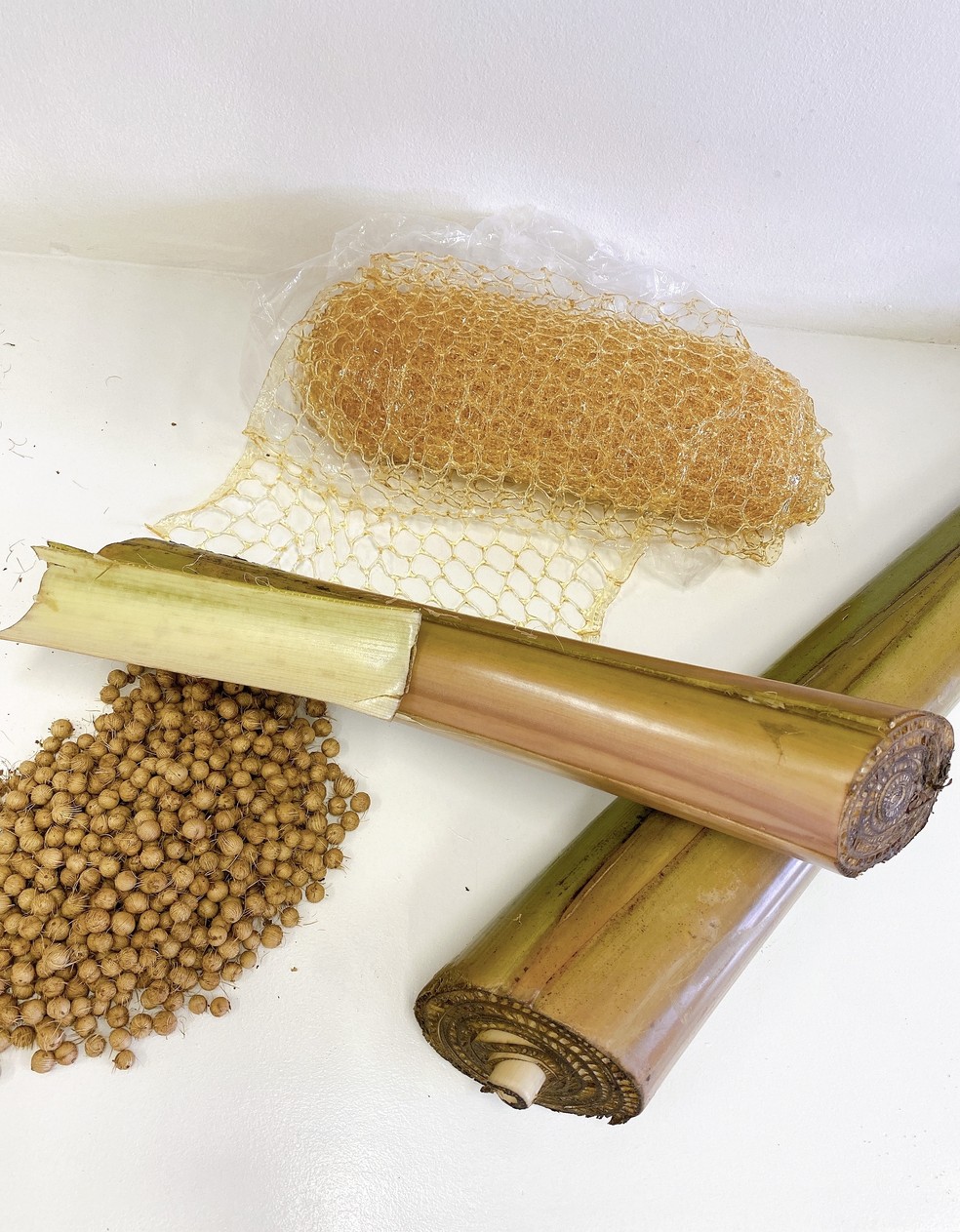 Brasileiras criam absorvente biodegradável de R$0,02 e disputam final de prêmio na Suécia — Foto: Arquivo pessoal