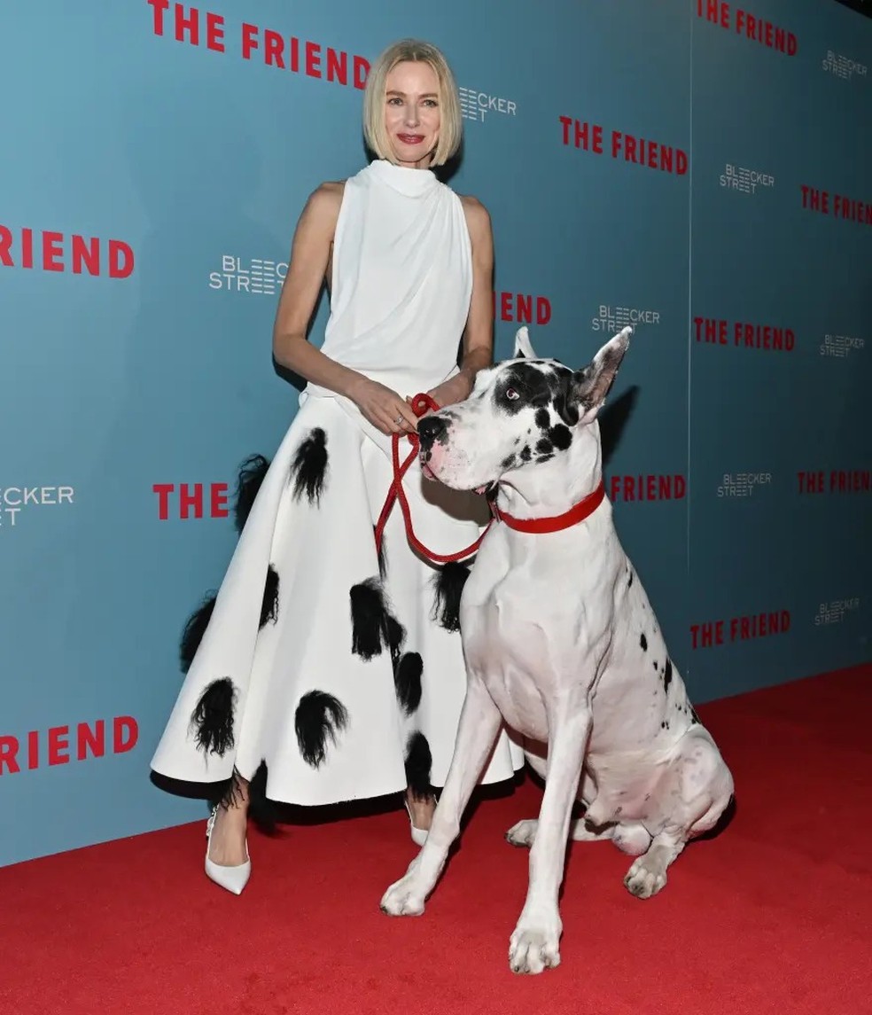 Naomi Watts coordena look grifado com cachorro na première de "The Friend" — Foto: Getty Images