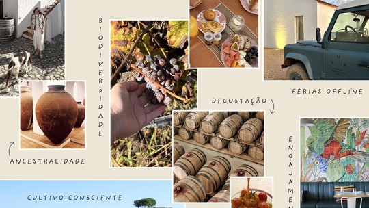ABC do Alentejo: um guia de enoturismo para quem não entende (quase) nada de vinhos ABC do Alentejo: um guia de enoturismo para quem não entende (quase) nada de vinhos