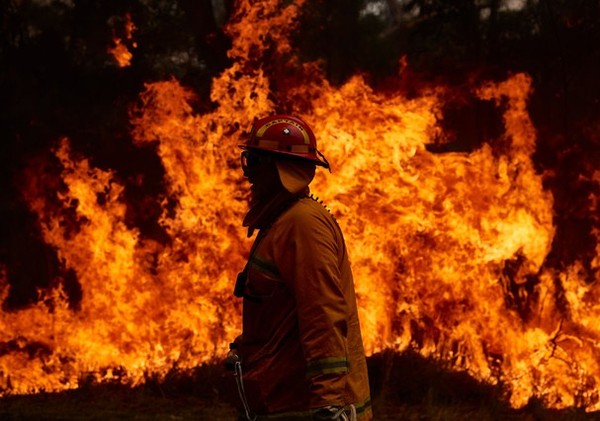 Ator de Thor doa R$ 4 milhões pra combater incêndios na Austrália: vídeo -  Só Notícia Boa