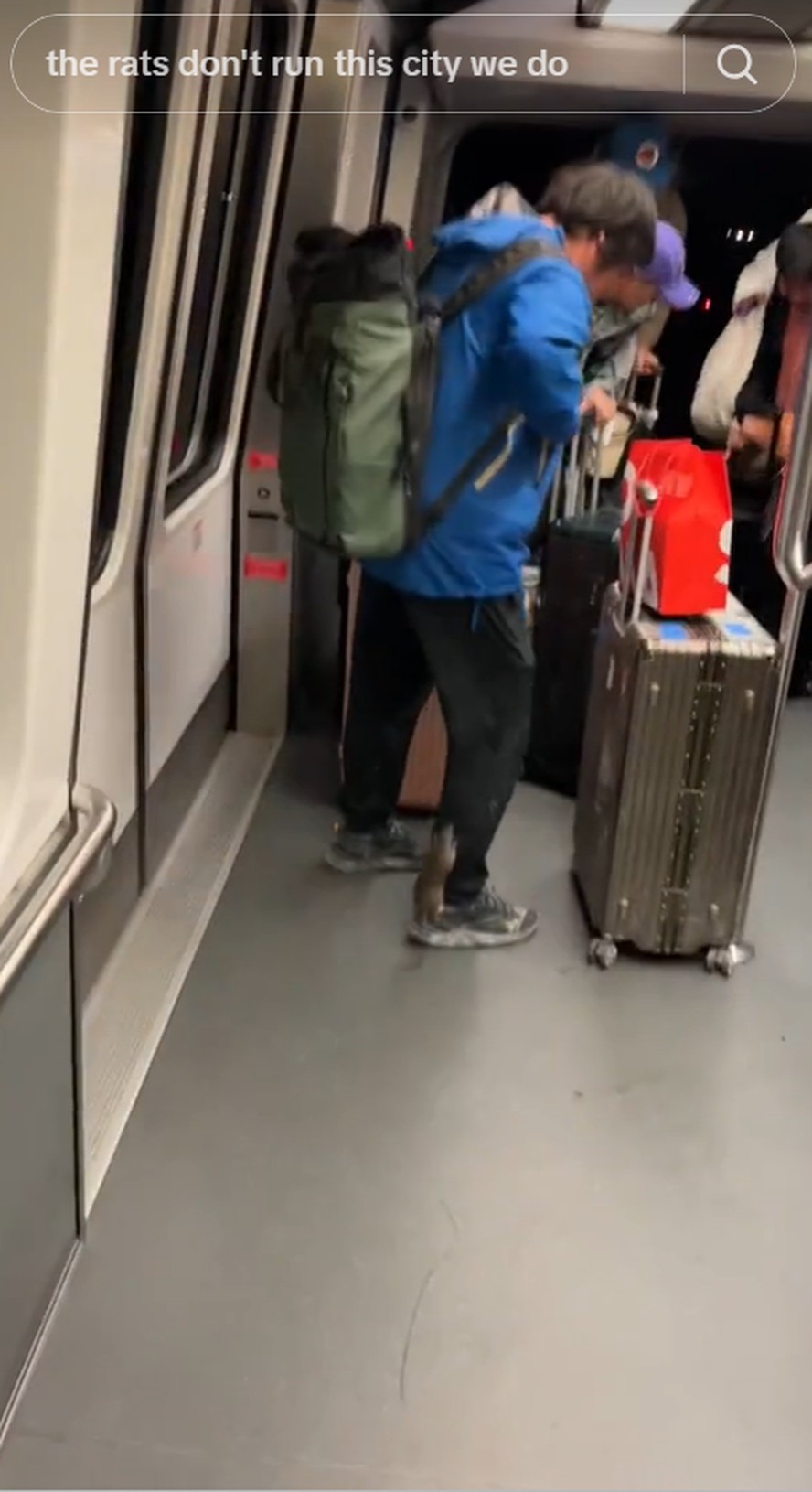 Rato no metrô de NY