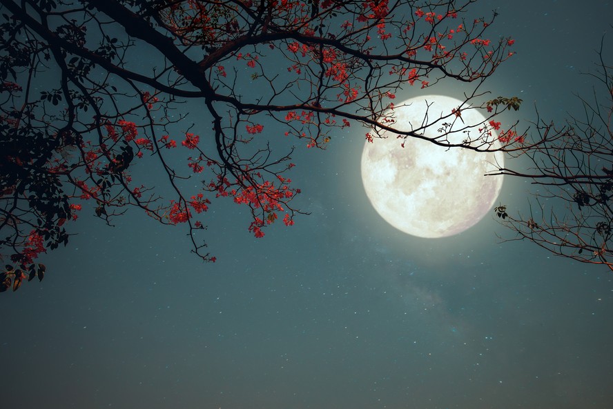 Superlua