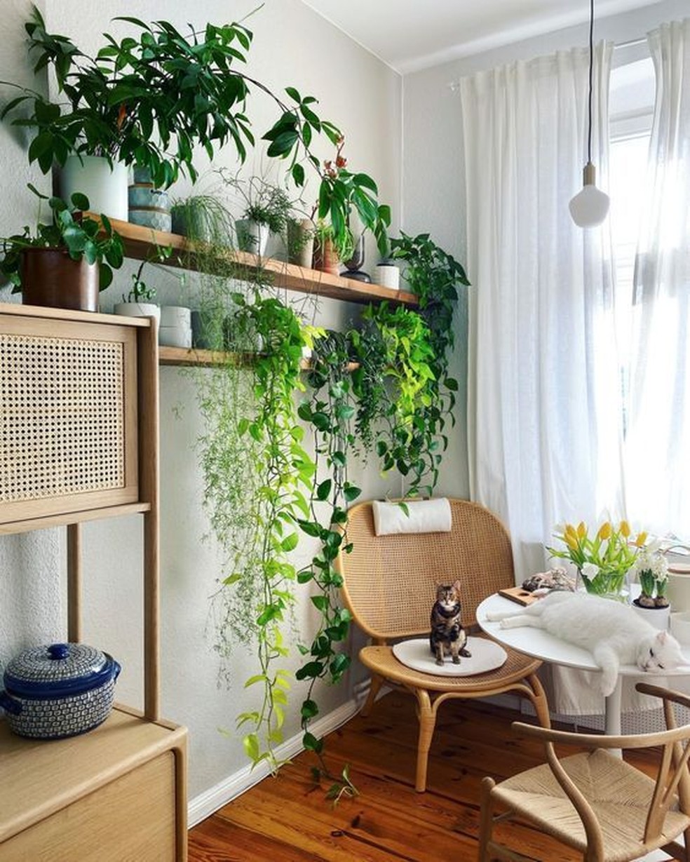 Como refrescar a casa no verão — Foto: Pinterest/Divulgação