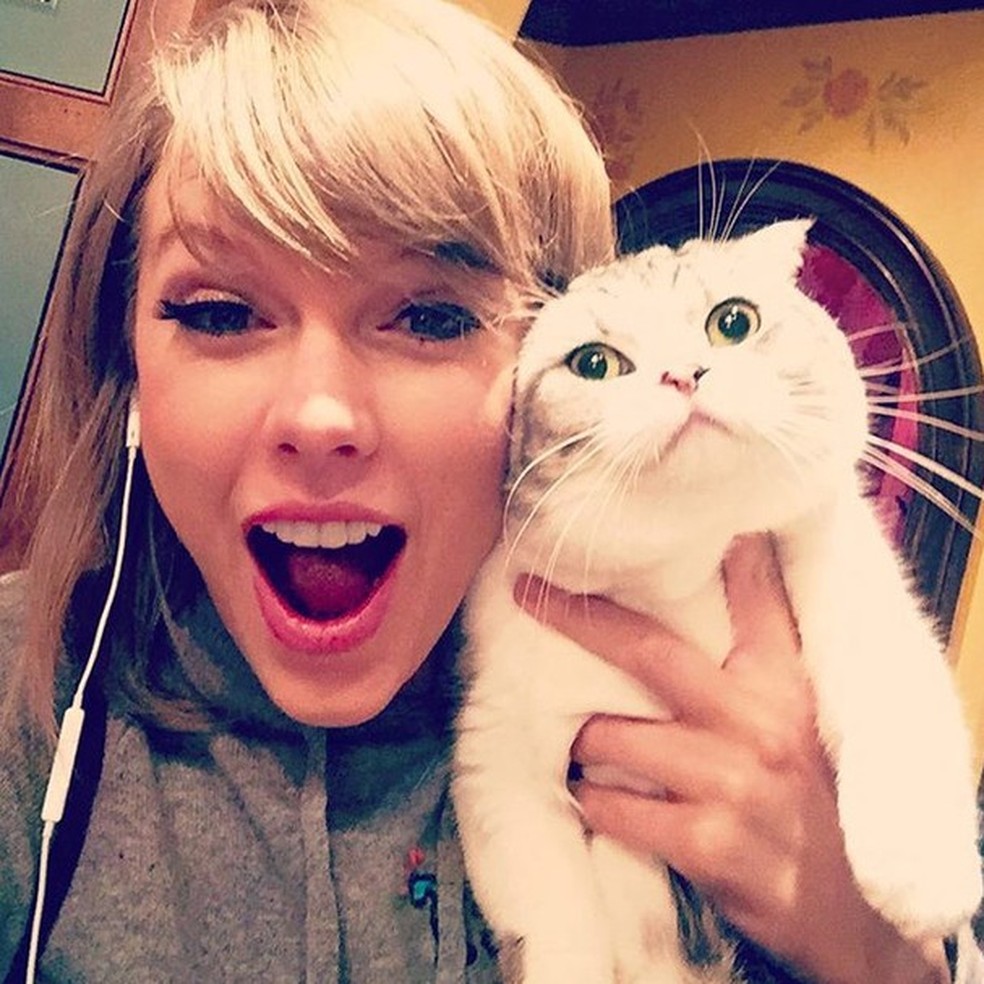 Taylor Swift, uma verdadeira "cat lady" (Foto: Instagram/Reprodução) — Foto: Glamour