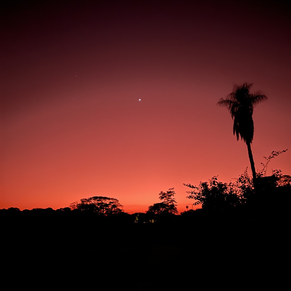 Nascer do sol no Pantanal — Foto: Renata Telles