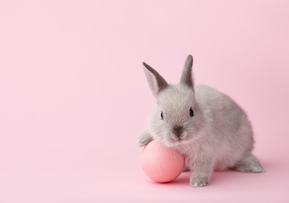 Cruelty-free (Foto: Thinkstock) — Foto: Glamour