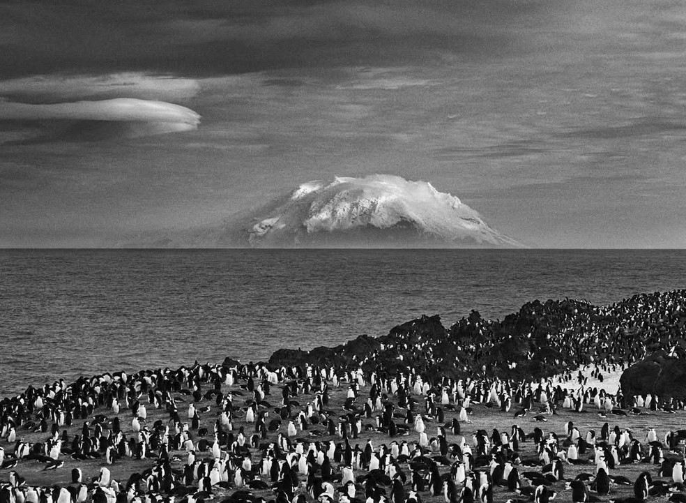 South Sandwich Islands, 2009 — Foto: Sebastião Salgado